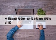 小型app开发费用（开发小型app需要多少钱）