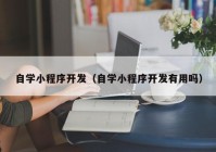 自学小程序开发（自学小程序开发有用吗）