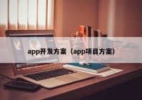 app开发方案（app项目方案）