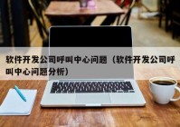 软件开发公司呼叫中心问题（软件开发公司呼叫中心问题分析）