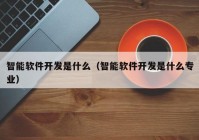 智能软件开发是什么（智能软件开发是什么专业）