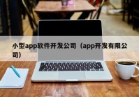 小型app软件开发公司（app开发有限公司）