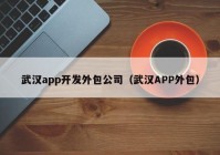 武汉app开发外包公司（武汉APP外包）