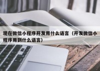 现在微信小程序开发用什么语言（开发微信小程序用到什么语言）