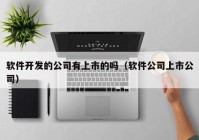 软件开发的公司有上市的吗（软件公司上市公司）