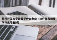 软件开发大学需要学什么专业（软件开发需要学什么专业好）